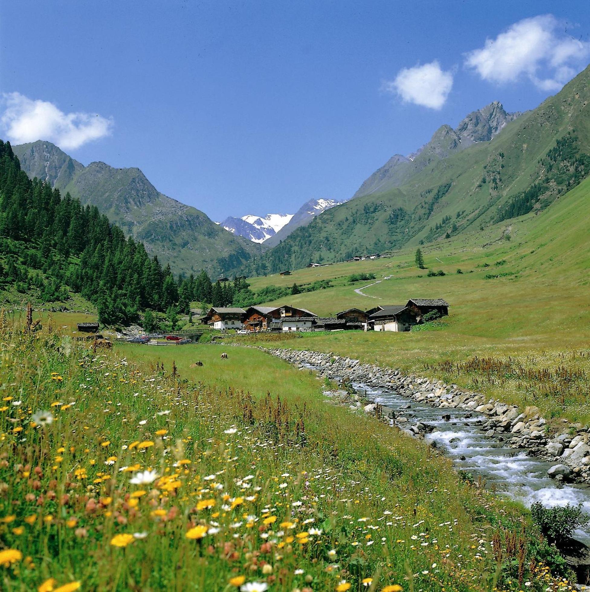 Pension Almrausch Neustift im Stubaital Exterior foto